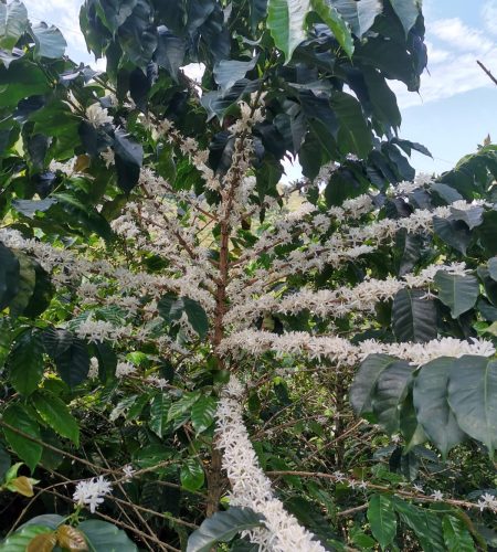 76a0b0d8-19cd-4985-9292-73eefa3e6c44