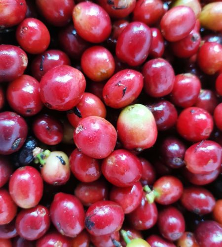 WhatsApp Image 2024-11-05 at 6.42.39 PM